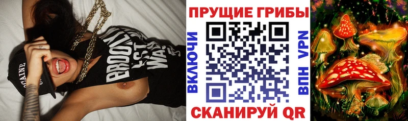 дарнет шоп  Володарск  darknet Telegram  Псилоцибиновые грибы Psilocybine cubensis 